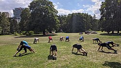 Entrenamiento de running en Projektron