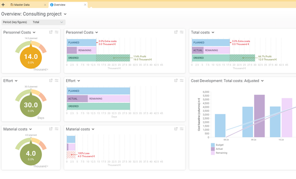 Project overview in BCS