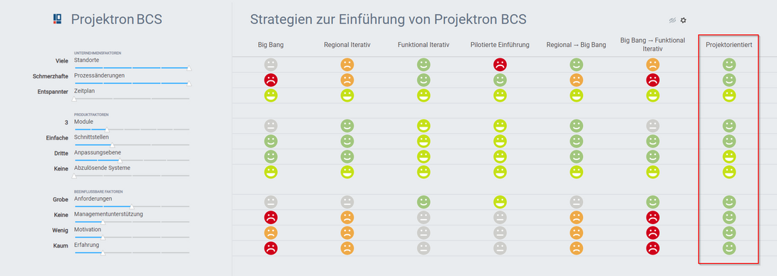 Influencing factors project-oriented software rollout Projektron Expert Tool