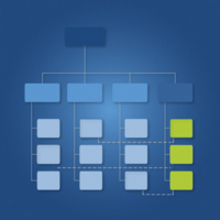 Schematic representation of autonomous project organization with a clearly structured project team that works independently of the rest of the organization.