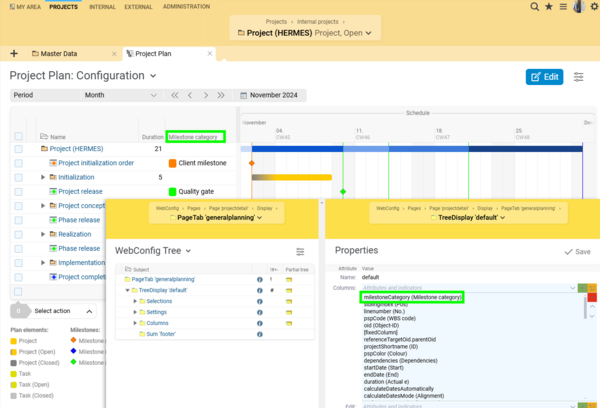 WebConfig editor in BCS