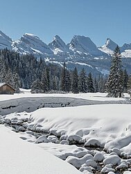 TechnoWood Landschaft Toggenburg