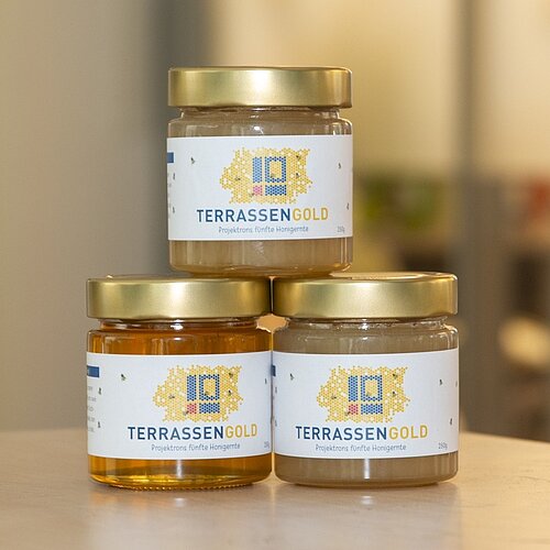 Frisch abgefülltes Terrassengold 2025 aus der Projektron Bienenzucht auf unseren Berliner Dachterrassen.