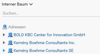 Screenshot of the organizational tree in Projektron BCS with the Center for Innovation and the German and American subsidiaries of Kemény Boehme Consultants SE.