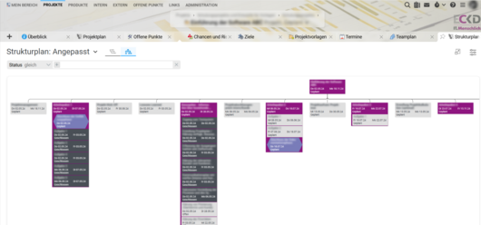 Plan de structure de projet dans Projektron BCS, conçu conformément à l'identité visuelle de l'entreprise avec une structure colorée et une représentation hiérarchique.
