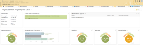 Captura de pantalla del informe del proyecto Westernacher en BCS