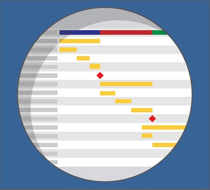 The selection of a project management software as a project