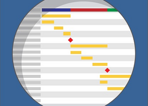 Die Auswahl einer Projektmanagement-Software als Projekt