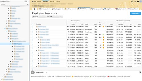 Screenshot Projektplanung Westernacher in BCS