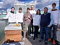 Projektron-Mitarbeitende beim Imkerkurs 2024: Praktische Einblicke in die Bienenhaltung, Honigherstellung und nachhaltigen Umgang mit Bienenvölkern.