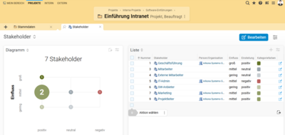 Screenshot der BCS Stakeholder- und Umfeldanalyse mit visualisierten Beziehungen und Einflussstrukturen im Projektumfeld.