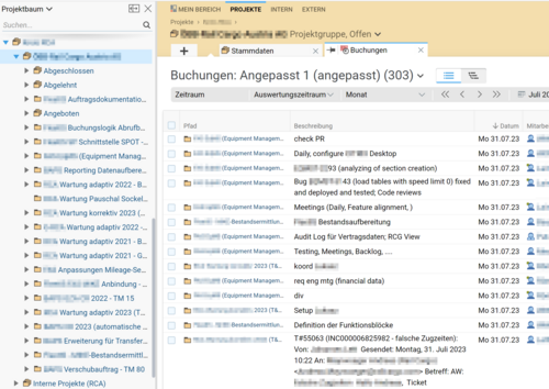 BCS-Screenshot zeigt Projektbuchungen. 