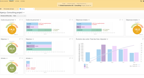 Aperçu du projet dans Projektron BCS
