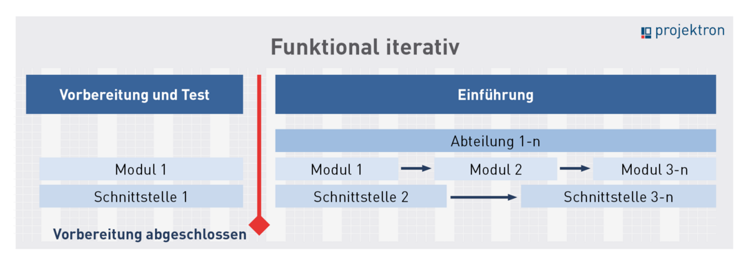 Schema funktional iterative Softwareinführung