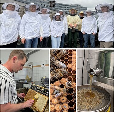 Fotocollage: Imkerkurs 2026 Fotocollage mit Teilnehmern des Imkerkurses 2026 bei praktischen Arbeiten an Bienenstöcken, Waben und der Honigschleuder.