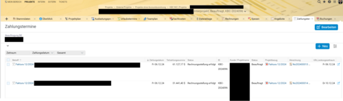 Screenshot of the payment schedule view in Projektron BCS with partial payments in US dollars, used by Kemény Boehme Consultants SE.