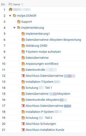 molpe Projektron BCS Screenshot shows project overview.