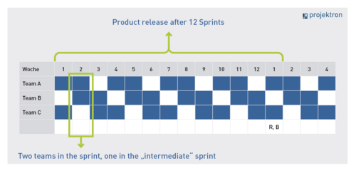 A sprint plan allows fixed release rhythms in software development according to Scrum.