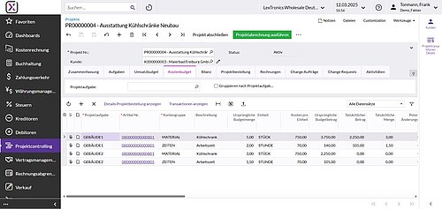 Screenshot: Tabellarische Darstellung im Projektcontrolling-Tab Kostenbudget in Haufe X360