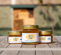 55 kilogrammes de miel ont été produits par les abeilles Projektron en 2022.