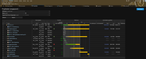 The screenshot shows the BCS view Project Plan. 