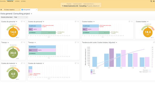 Vista general del proyecto en Projektron BCS
