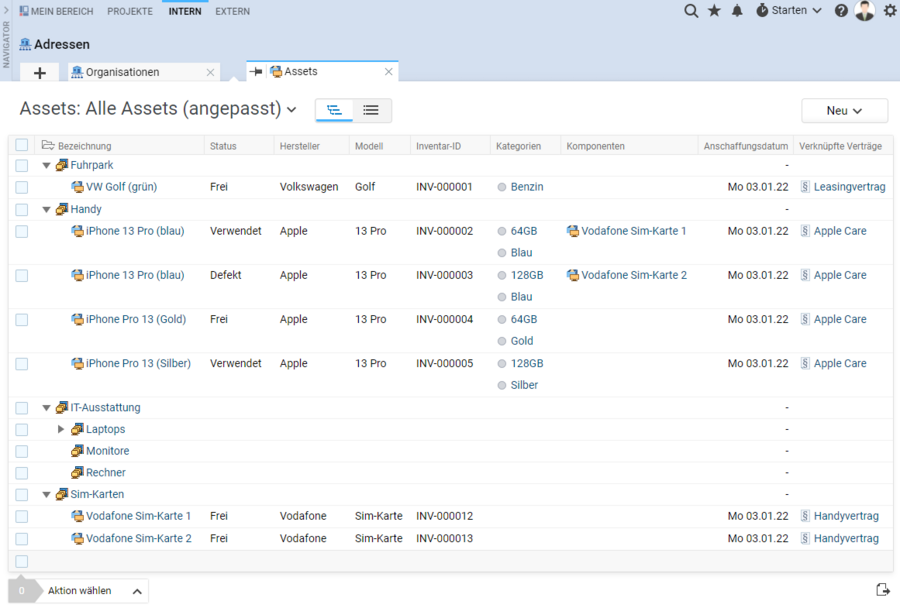 Screenshot vom Asset Management in Projektron BCS