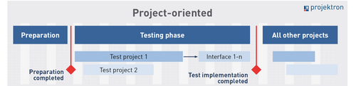 Scheme of project-oriented software rollout