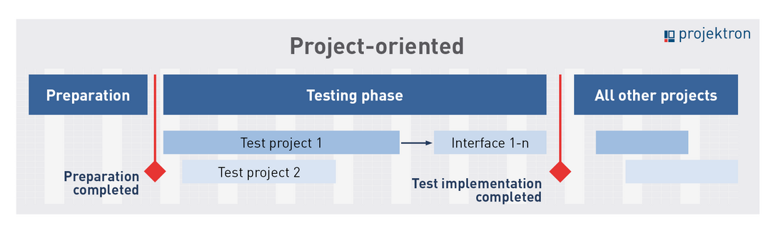 Scheme of project-oriented software rollout