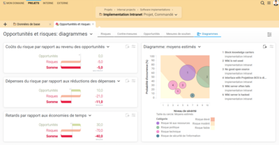 Opportunités et risques dans Projektron BCS