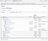 Übersichtlich: Die Ansicht Sachkostenbaum