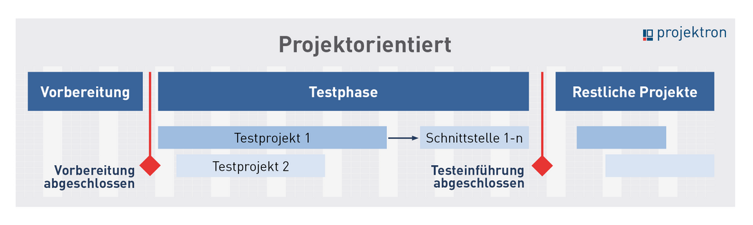 Schema projektorientierte Softwareeinführung