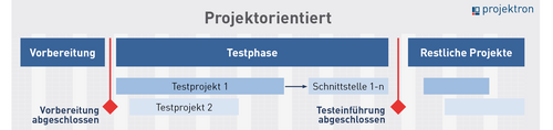 Schema projektorientierte Softwareeinführung